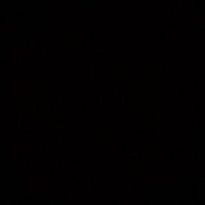 Meet your Posher, Skyler